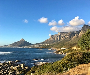 Cape Peninsular Tour